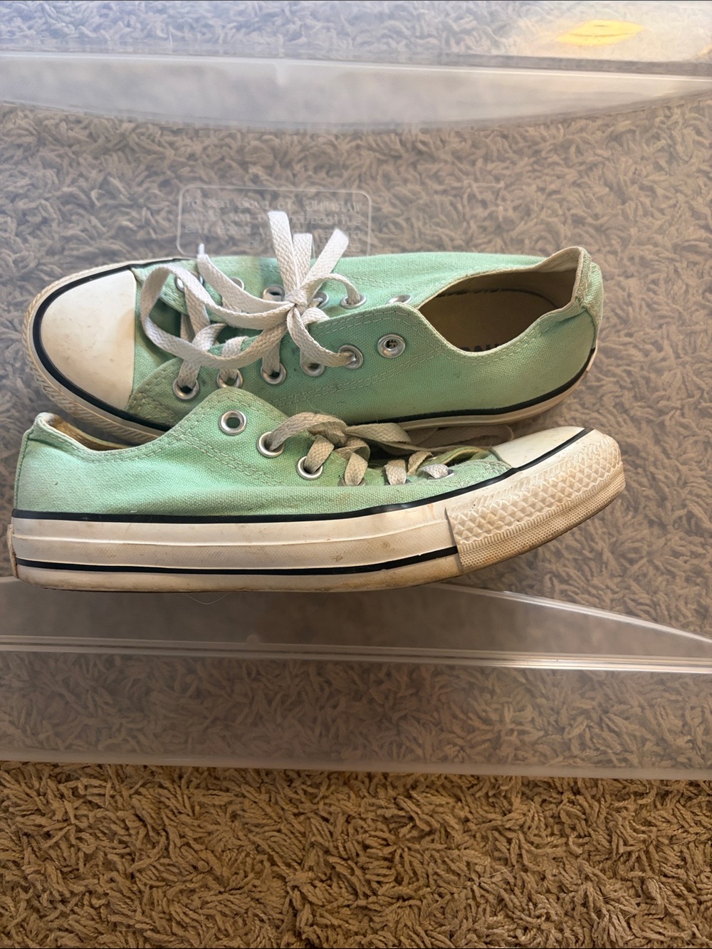 Converse Mint Green Low-Top Canvas Sneakers with White Accents